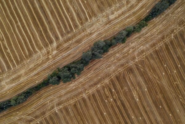 Agriculture in Poland